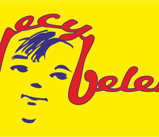 Fundacja Decybelek logo