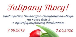 Tulipany Mocy