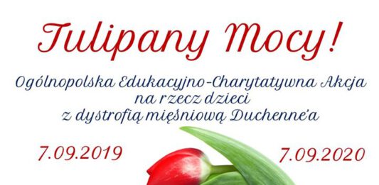 Tulipany Mocy